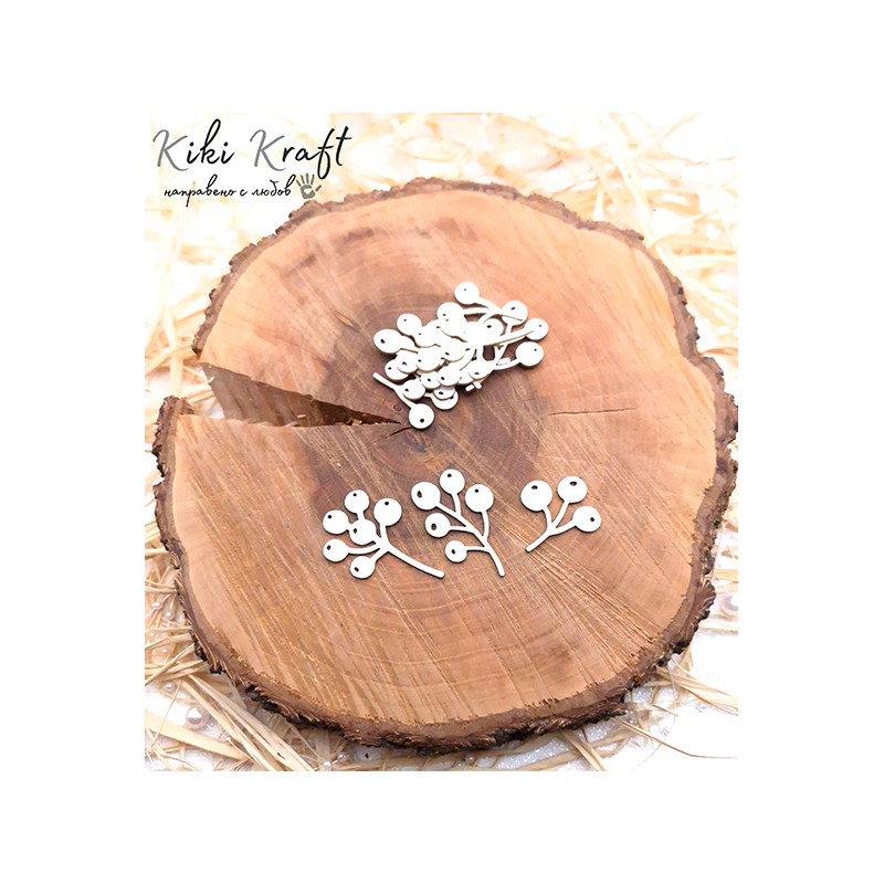 Клонки,листа,0939